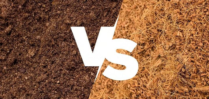 Peat Moss vs Coco Coir